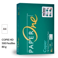 INAPA Ramette 500 feuilles papier TEXT & GRAPHICS A3 80g CIE 170