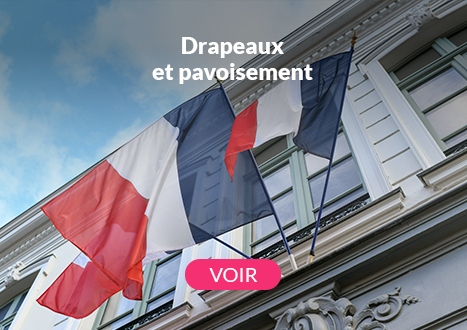 PAVOISEMENT
